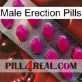 Male Erection Pills 09